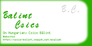 balint csics business card